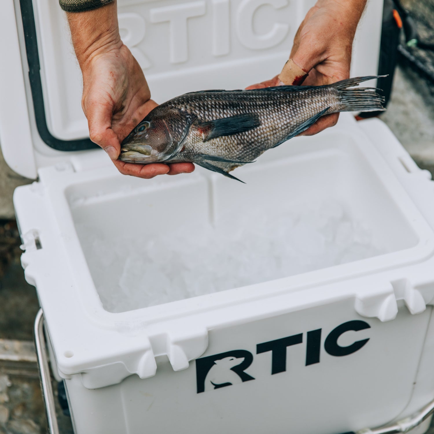 20 QT Ultra-Tough Cooler image 15